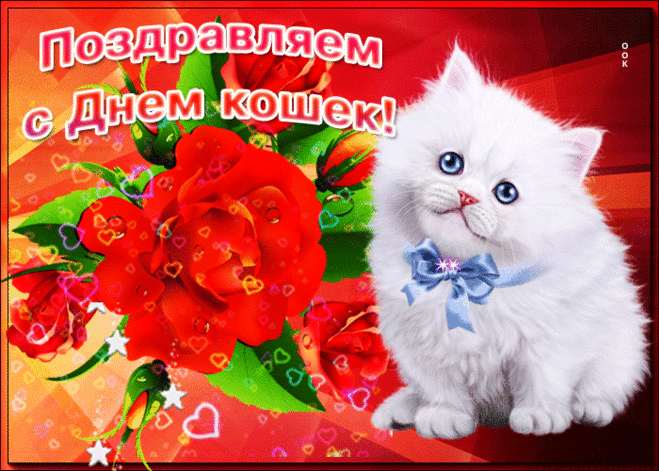 И кошкам здесь, и кошкам там,
И всем котятам, и котам:
Я вас с Днем кошек поздравляю,
Счастья кошачьего желаю.