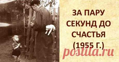 У маленького счастья много дел...