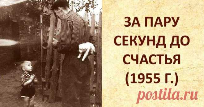 У маленького счастья много дел...