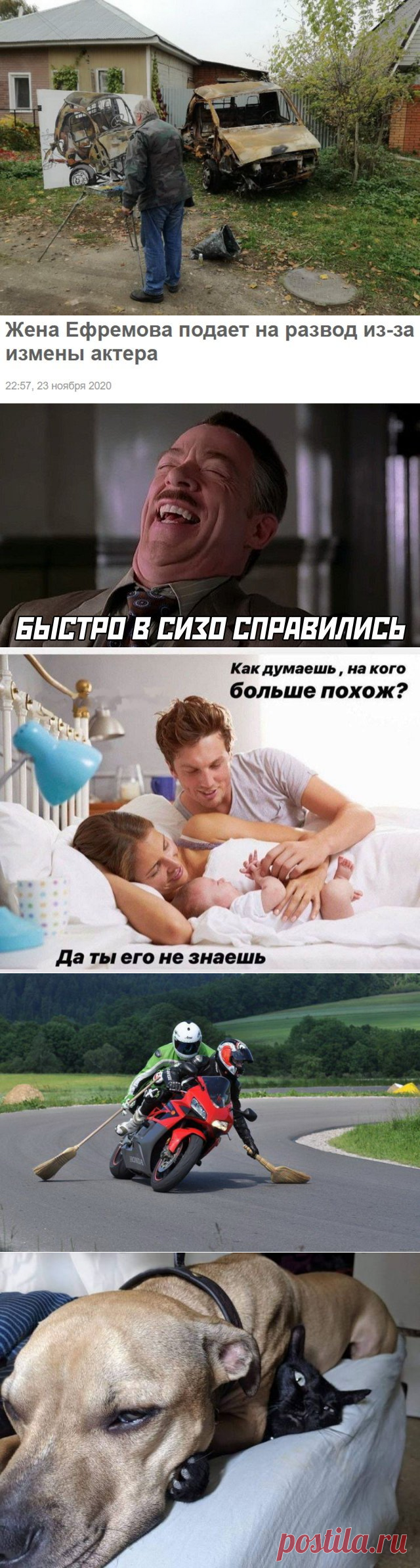 Подборка прикольных картинок и фотографий-265