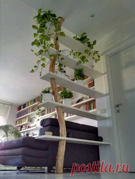 Полки, стелажы - Pinterest • Всемирный каталог идей