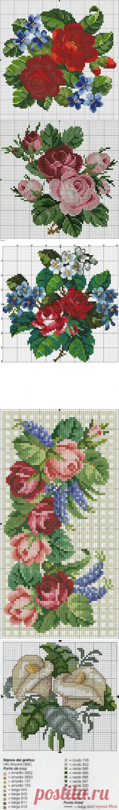 Наталия Сбитнева