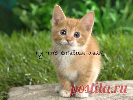 )))