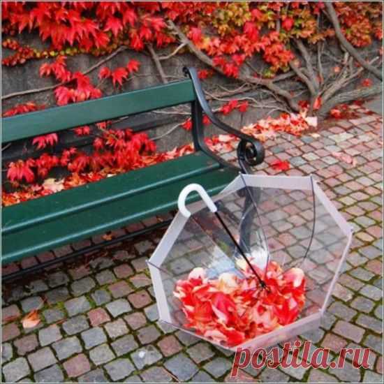 Зонтики под дождем