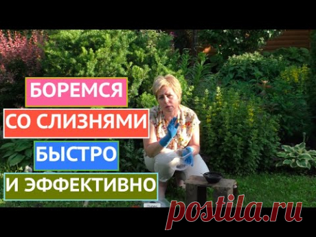 СДЕЛАЙТЕ ЭТО И СКАЖИТЕ СЛИЗНЯМ "ПРОЩАЙ"!