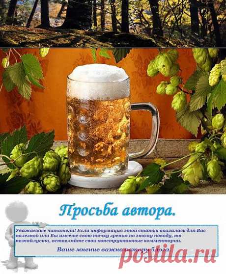 Приготовление домашнего пива. | Наш дом