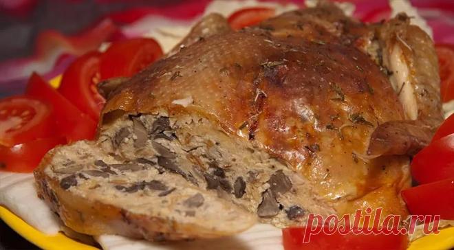 Галантин, пошаговый рецепт с фото от автора Федор на 537 ккал Галантин. Вкусный рецепт приготовления с пошаговым описанием, фото и отзывами. Удобный поиск рецептов и кулинарное вдохновение на Gastronom.ru