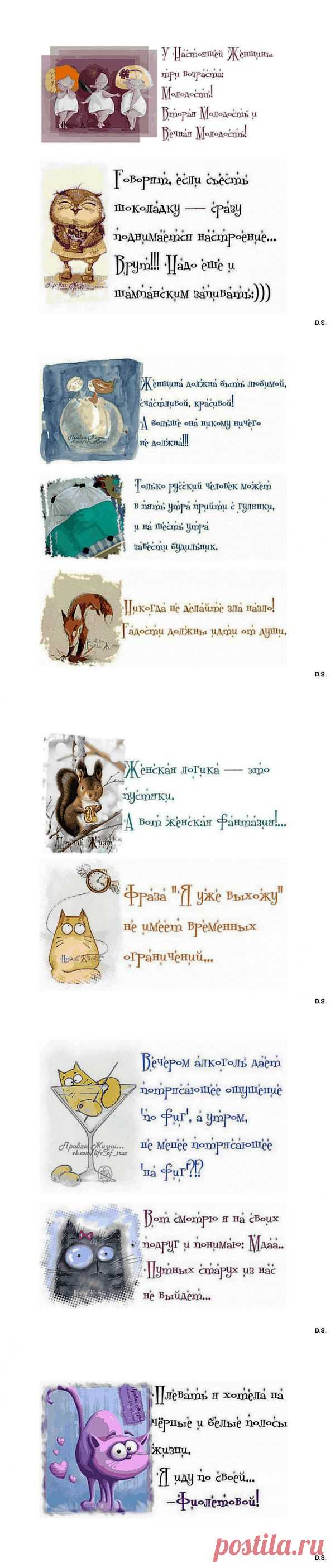 (+1) - Воскресная улыбка, или У настоящей женщины три возраста... | КРАСОТА И ЗДОРОВЬЕ