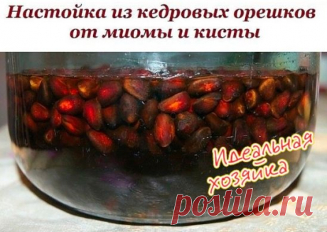 (17) Одноклассники