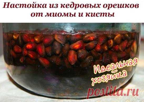 (17) Одноклассники