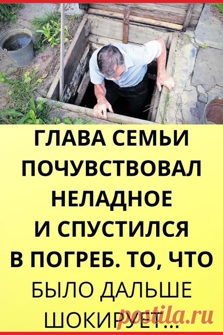 Глава семьи почувствовал неладное и спустился в погреб. То, что было дальше...