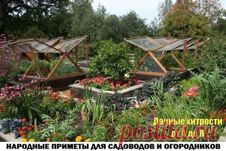 (50) Одноклассники