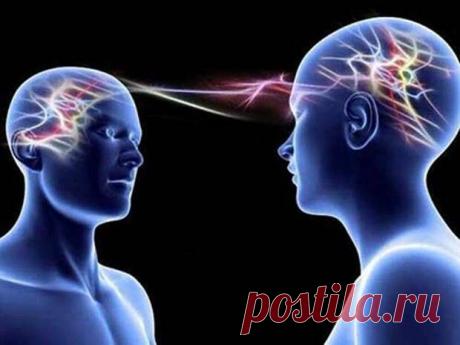 Тёмная сторона эмпатии... - Познавательный сайт ,,1000 мелочей" - медиаплатформа МирТесен Многие люди ждут от эмпатов поддержки и наставлений. Это также означает, что эмпаты видят в мире гораздо больше вещей, чем мы. О тёмной стороне эмпатии редко говорят. Тем не менее, она существует и может отравлять жизнь эмпата.Эмпатия – это умение поставить себя на место другого человека и понять