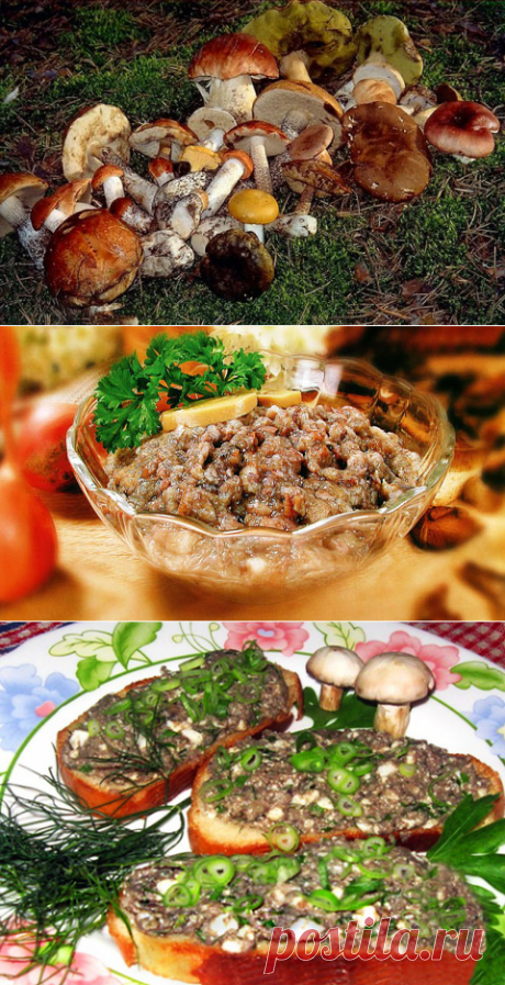 Грибы. Грибная икра, паштеты, грибные соусы.