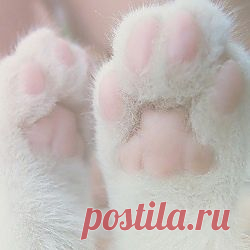 ❤