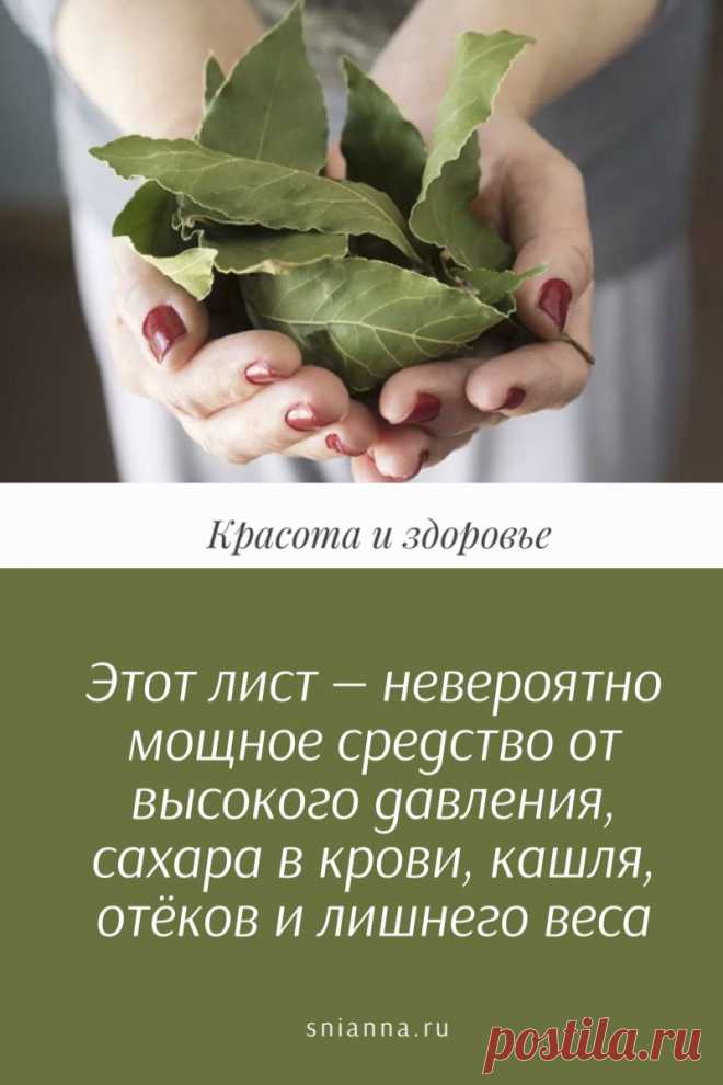 Лавровый лист невероятно мощное средство от высокого давления, сахара в крови, кашля, отёков и лишнего веса! - Советы для здоровья и красоты ! - медиаплатформа МирТесен