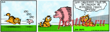 1980-08-23
