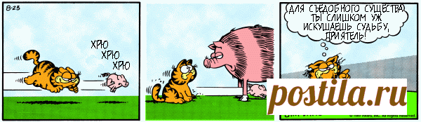 1980-08-23