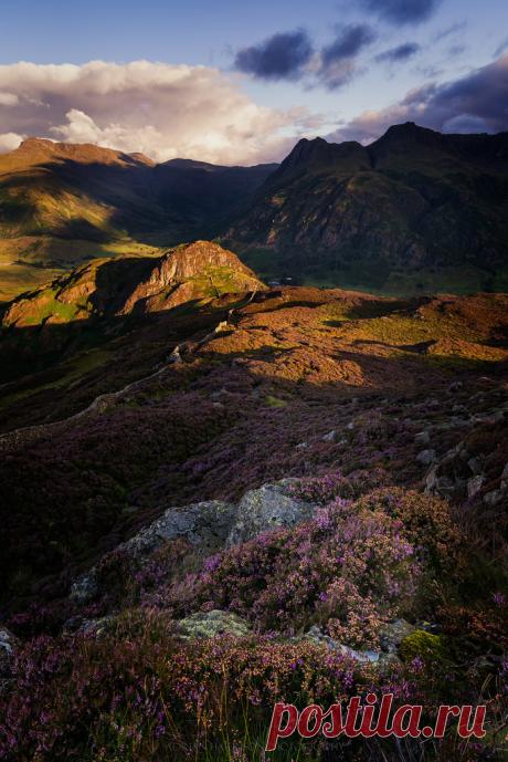 wanderthewood:
“Lingmoor Fell, Lake District, England by akh1981
”