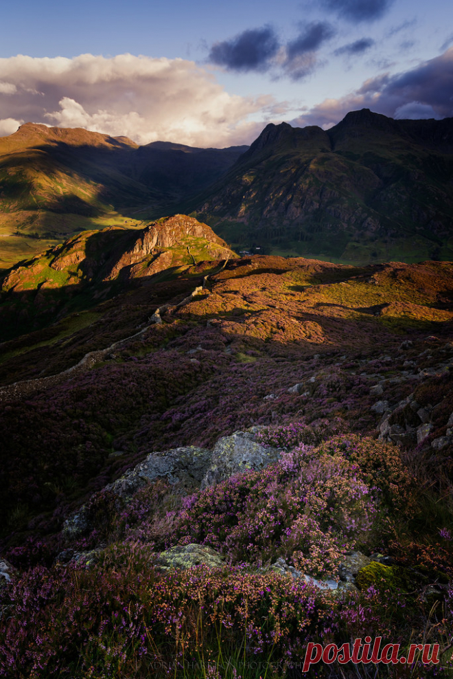 wanderthewood:
“Lingmoor Fell, Lake District, England by akh1981
”