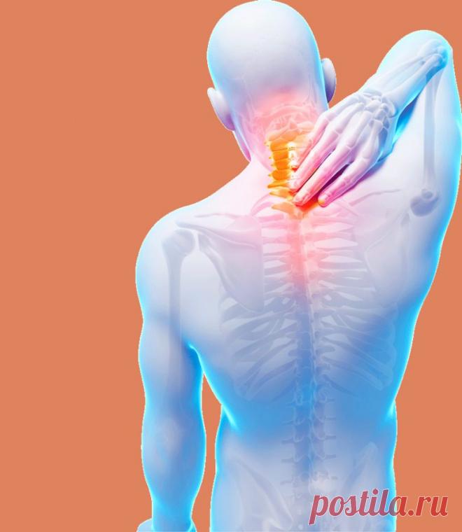 Упражнения для здоровой спины / Будьте здоровы