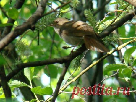 Василий Тимошин vasiliy-timoshin - Москва, Россия, 61 год на Мой Мир@Mail.ru