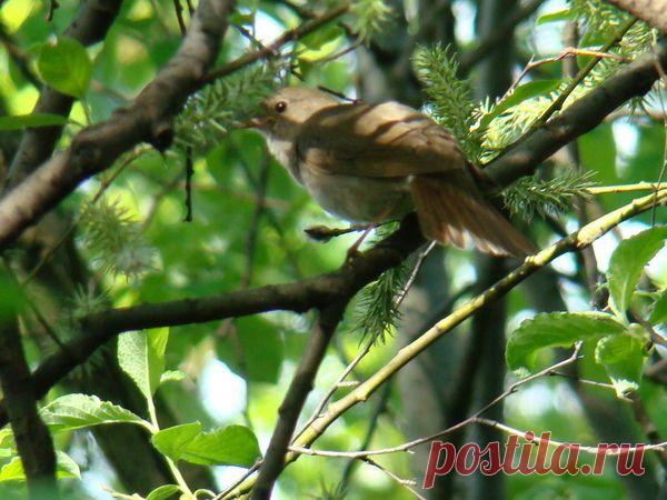 Василий Тимошин vasiliy-timoshin - Москва, Россия, 61 год на Мой Мир@Mail.ru