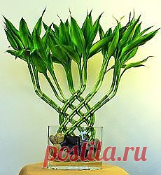 (16 непрочетени) - АБВ поща