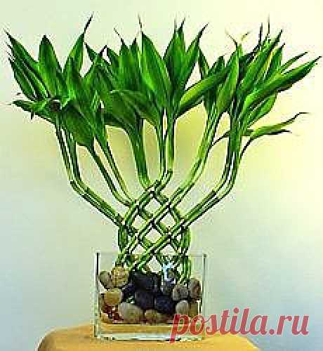 (16 непрочетени) - АБВ поща