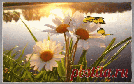 Мой Мир@Mail.Ru