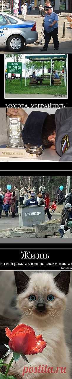 (7) Одноклассники