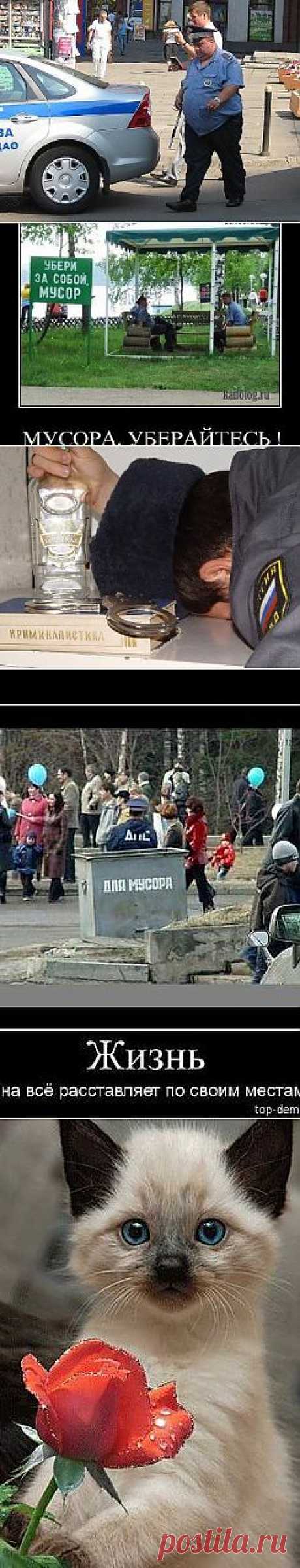 (7) Одноклассники
