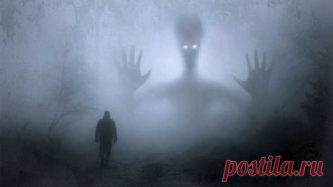 Сигнал принят
В словарях говорится, что страх — естественная реакция организма в борьбе за выживание. Он сигнализирует об угрозах. Настоящих и предполагаемых. Нас пугает новое, то есть непредсказуемое. Тревожит хаос, резкие или постепенные, но постоянные изменения. Доводит до ярости и ужаса невозможность повлиять на ситуацию. Страшит выбор, чужая оценка. Другими словами, страх — это естественная реакция живого существа на перемены и на необходимость действовать при размытых