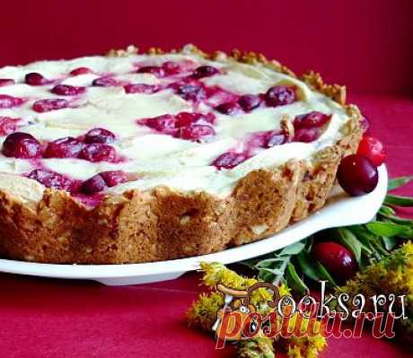 Деревенский пирог с яблоками и клюквой рецепт с фото