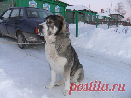 Мой Мир@Mail.Ru