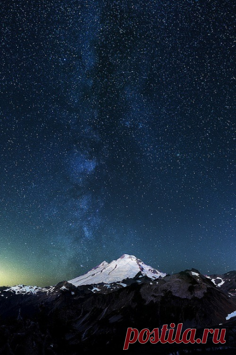 GOLDEN POPPY — accio-forest: The Pinnacles by Martin Au