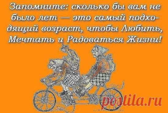 (53) Одноклассники