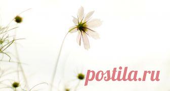 Что происходит с душой после смерти? - Православный журнал 