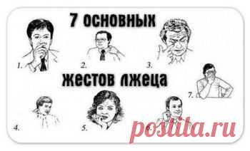 как распознать лжеца по жестам