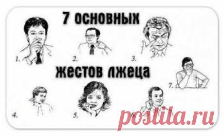 как распознать лжеца по жестам