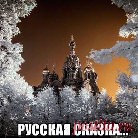 Светлана Болотова