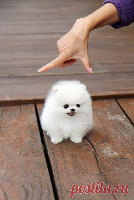 Минутка умиления ^^