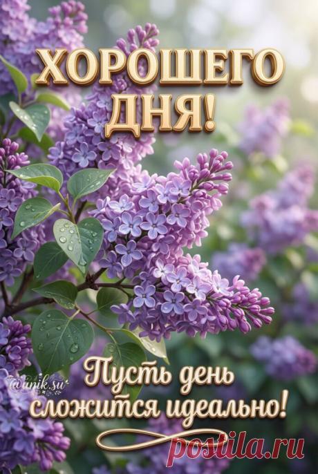 Хорошего дня картинки бесплатно
