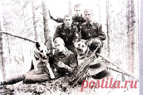 Жить интересно! - День пограничника