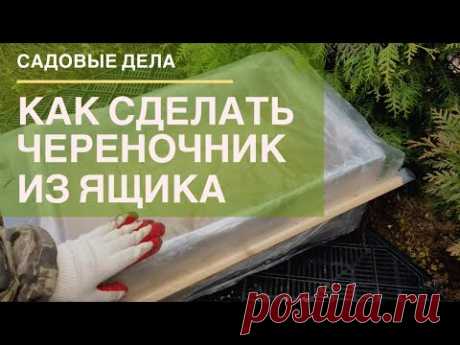 Как сделать череночник из ящика