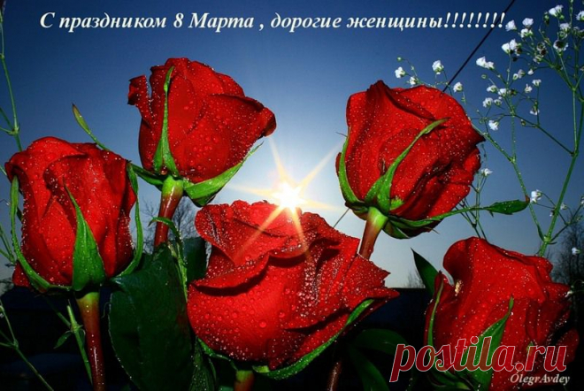Плейкаст «Всем дамам цветы и подарки к 8 МАРТА!!!!»