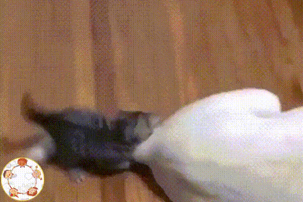 Нашёл игрушку