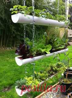 10 Impressive Rain Gutter Gardens That Will Make You Say WoW…