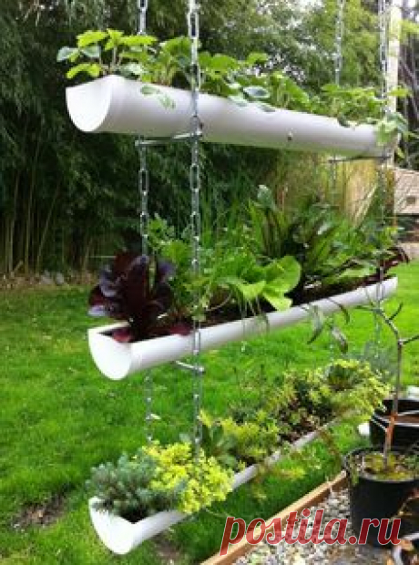 10 Impressive Rain Gutter Gardens That Will Make You Say WoW…