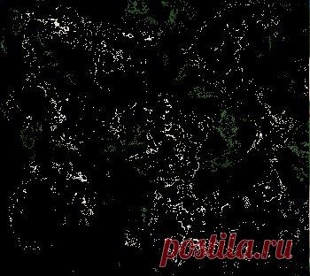 Сырные шарики «Три сыра» с орехами